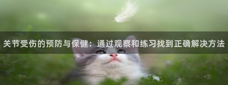 关节受伤的预防与保健：通过观察和练习找到正确解决方法