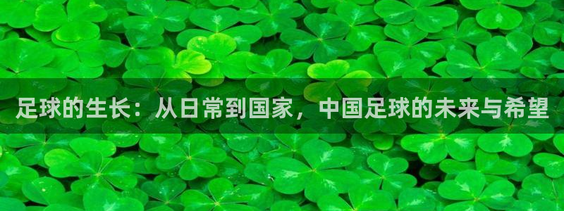足球的生长：从日常到国家，中国足球的未来与希望