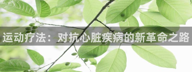 运动疗法：对抗心脏疾病的新革命之路