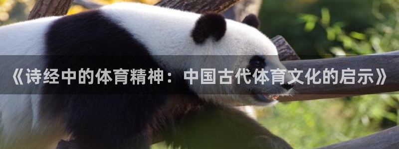 《诗经中的体育精神：中国古代体育文化的启示》