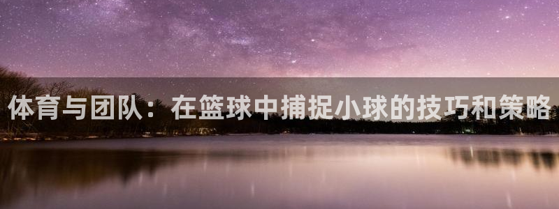 体育与团队：在篮球中捕捉小球的技巧和策略