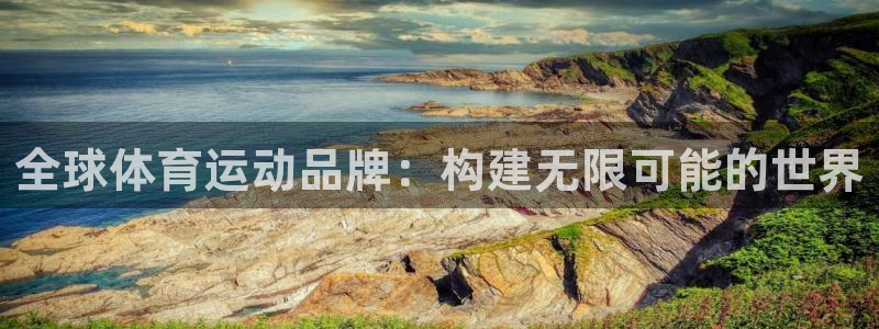 全球体育运动品牌：构建无限可能的世界