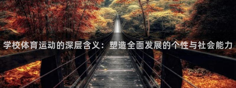 学校体育运动的深层含义：塑造全面发展的个性与社会能力