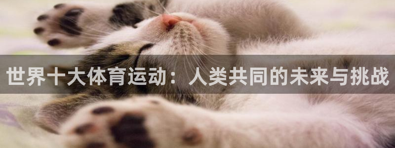 世界十大体育运动：人类共同的未来与挑战